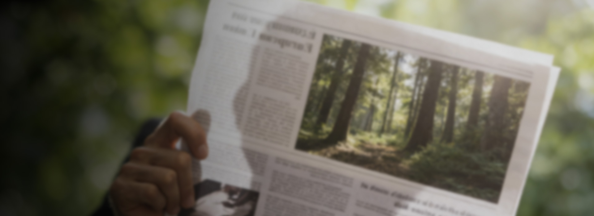 木業(yè)公司新聞動態(tài)